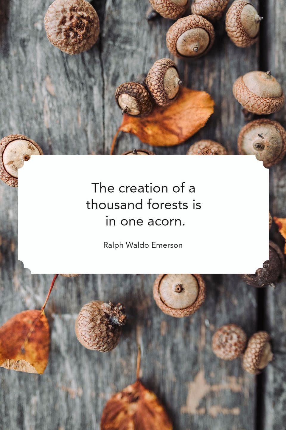 Ralph Waldo Emerson