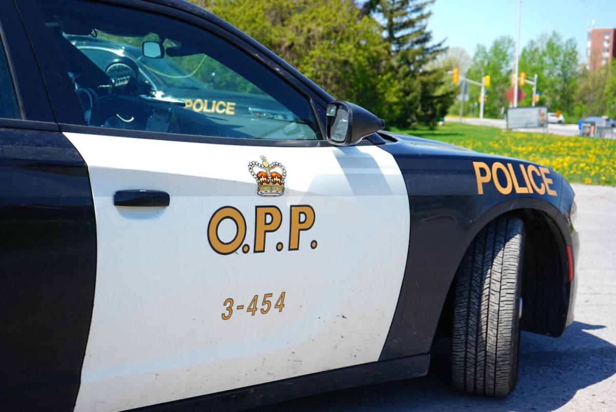 16-year-old boy struck and killed by vehicle while walking in Essex, Ont.