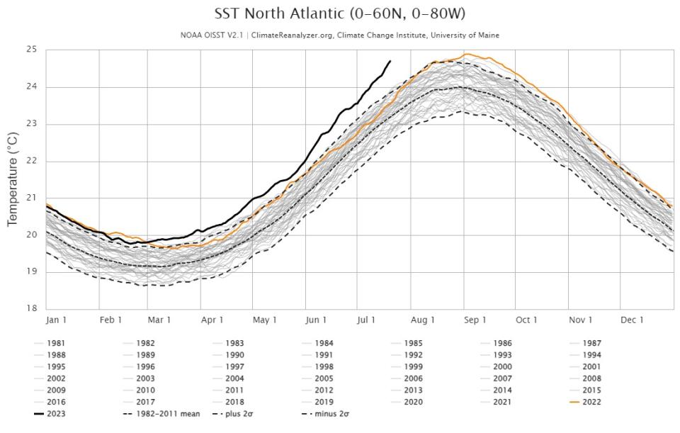 Sea surface temperature daily