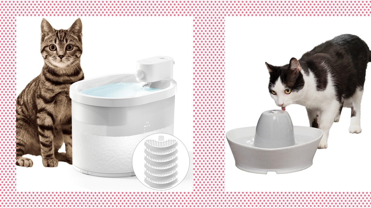 best cat water fountain uahpet wireless cat water fountain petsafe ceramic pet water fountain