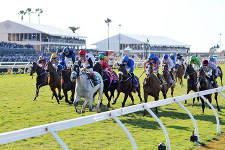 Nov 4, 2017; Del Mar, CA, USA; World Approval (5) wins the ninth race during the 34th Breeders Cup world championships at Del Mar Thoroughbred Club. Mandatory Credit: Jake Roth-USA TODAY Sports