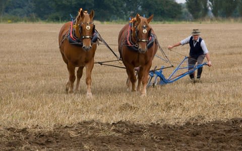 Mechanisation replaced old methods of ploughing  - Credit: Ernie Janes / Alamy Stock Photo 