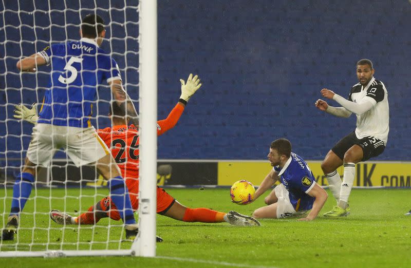 Premier League - Brighton & Hove Albion v Fulham