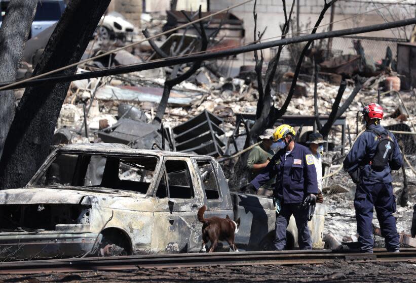 LAHAINA, HAWAII - AUGUST 17: Search and rescue crews look through the remains of a neighborhood on August 17, 2023 in Lahaina, Hawaii. At least 1110 people were killed and thousands were displaced after a wind driven wildfire devastated the towns of Lahaina and Kula early last week. Crews are continuing to search for missing people. (Photo by Justin Sullivan/Getty Images)