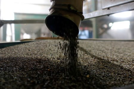 Roasted coffee beans are seen at the coffee company of Simexco Dak Lak Limited in the town of Di An