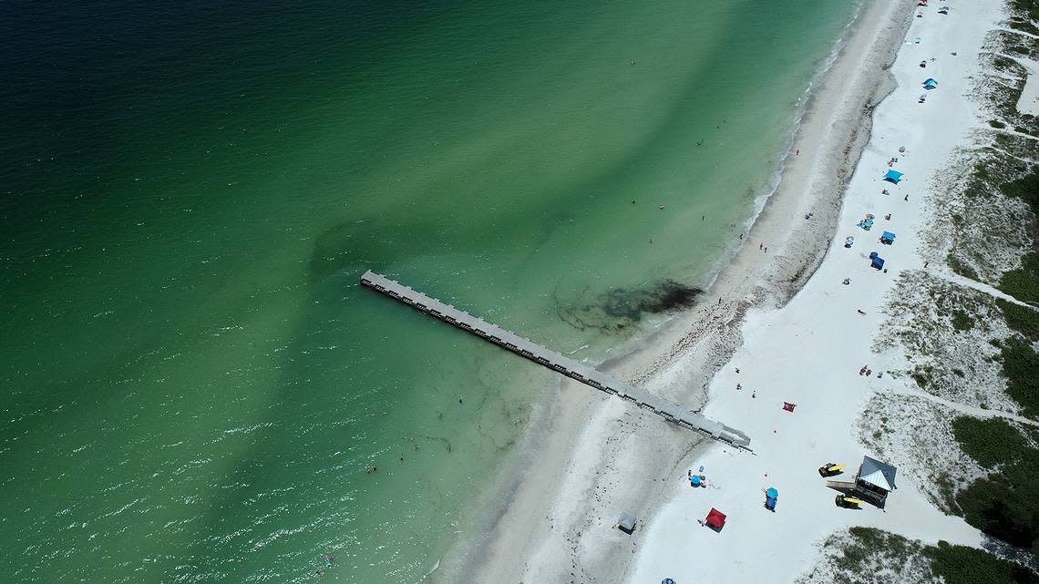 Why is red tide still in Florida waters near Anna Maria Island beaches? Experts answer questions about the toxic harmful algae bloom.