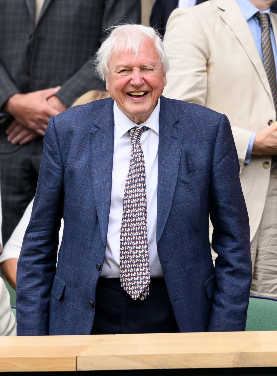 The 98-year-old broadcaster was all smiles at the event (WireImage)