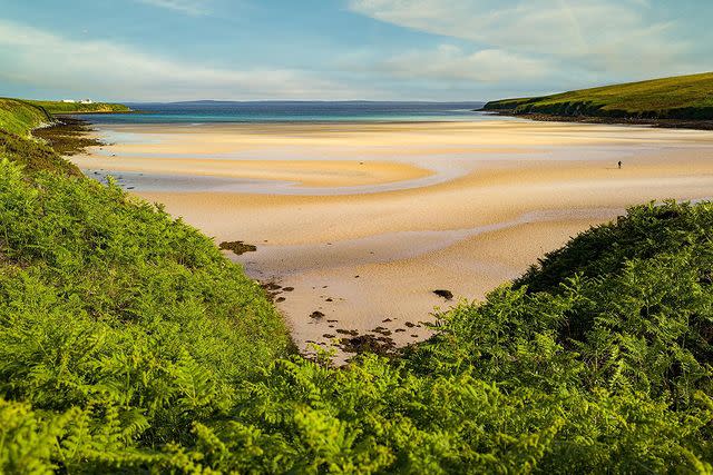 <p>Tucked away, down a small side road before following steep steps to the shore, Waulkmill is one of the biggest beaches in the islands, with a beautiful stretch of sand taking up the bay at low tide, leading towards the clear waters of <a href="https://www.goodhousekeepingholidays.com/tours/scotland-edinburgh-glasgow-golden-horizon-tradewind-cruise" rel="nofollow noopener" target="_blank" data-ylk="slk:Scapa Flow;elm:context_link;itc:0;sec:content-canvas" class="link ">Scapa Flow</a>, which are shallow enough to make them ideal for paddling. </p><p><strong>Where to stay: </strong><a href="https://go.redirectingat.com?id=127X1599956&url=https%3A%2F%2Fwww.booking.com%2Fhotel%2Fgb%2Flindisfarne-bed-amp-breakfast.en-gb.html%3Faid%3D1922306%26label%3Dscottish-beaches&sref=https%3A%2F%2Fwww.goodhousekeeping.com%2Fuk%2Flifestyle%2Ftravel%2Fg36681418%2Fbest-beaches-in-scotland-where-to-stay%2F" rel="nofollow noopener" target="_blank" data-ylk="slk:Lindisfarne B&B;elm:context_link;itc:0;sec:content-canvas" class="link ">Lindisfarne B&B</a> in Stromness offers views over Scapa Flow. The town of Stromness is only one mile away, while the beach is just a short drive. </p><p><a class="link " href="https://go.redirectingat.com?id=127X1599956&url=https%3A%2F%2Fwww.booking.com%2Fhotel%2Fgb%2Flindisfarne-bed-amp-breakfast.en-gb.html%3Faid%3D1922306%26label%3Dscottish-beaches&sref=https%3A%2F%2Fwww.goodhousekeeping.com%2Fuk%2Flifestyle%2Ftravel%2Fg36681418%2Fbest-beaches-in-scotland-where-to-stay%2F" rel="nofollow noopener" target="_blank" data-ylk="slk:CHECK AVAILABILITY;elm:context_link;itc:0;sec:content-canvas">CHECK AVAILABILITY</a></p><p>Alternatively, see Scapa Flow during a cruise from Scotland's east coast to the west coast.</p><p><a class="link " href="https://www.goodhousekeepingholidays.com/tours/scotland-edinburgh-glasgow-golden-horizon-tradewind-cruise" rel="nofollow noopener" target="_blank" data-ylk="slk:FIND OUT MORE;elm:context_link;itc:0;sec:content-canvas">FIND OUT MORE</a><br></p><p><a href="https://www.instagram.com/p/B8KWkH1g2l-/" rel="nofollow noopener" target="_blank" data-ylk="slk:See the original post on Instagram;elm:context_link;itc:0;sec:content-canvas" class="link ">See the original post on Instagram</a></p>