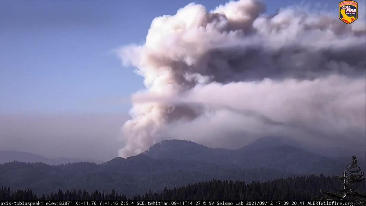 Timelapse Shows Smoke Plumes From Windy Fire Burning In Californias