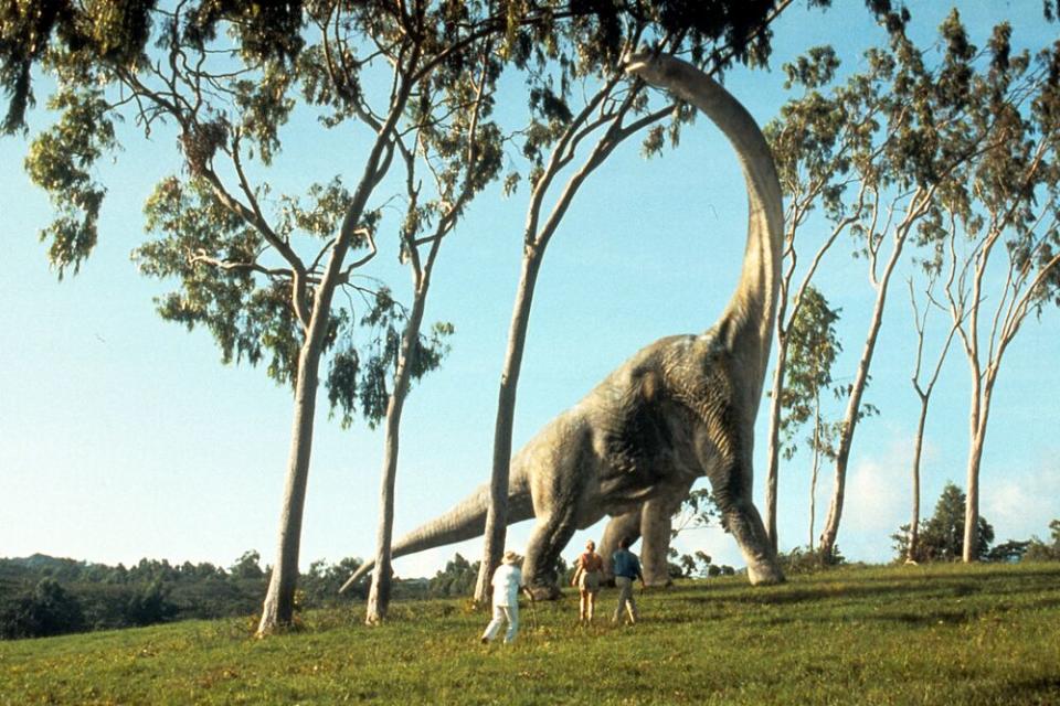 A brontosaurus eats leaves in a scene from the film 'Jurassic Park', 1993. | Universal Pictures / Handout / Getty Images