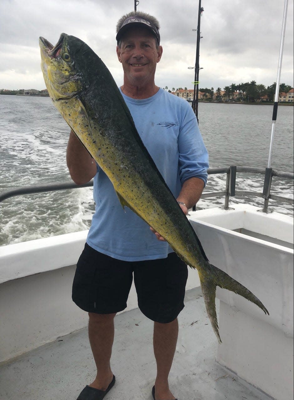 Johnathan Steele of Boynton Beach caught this 14 pound dolphin drifting a sardine near the surface in 180 feet on Sunday.