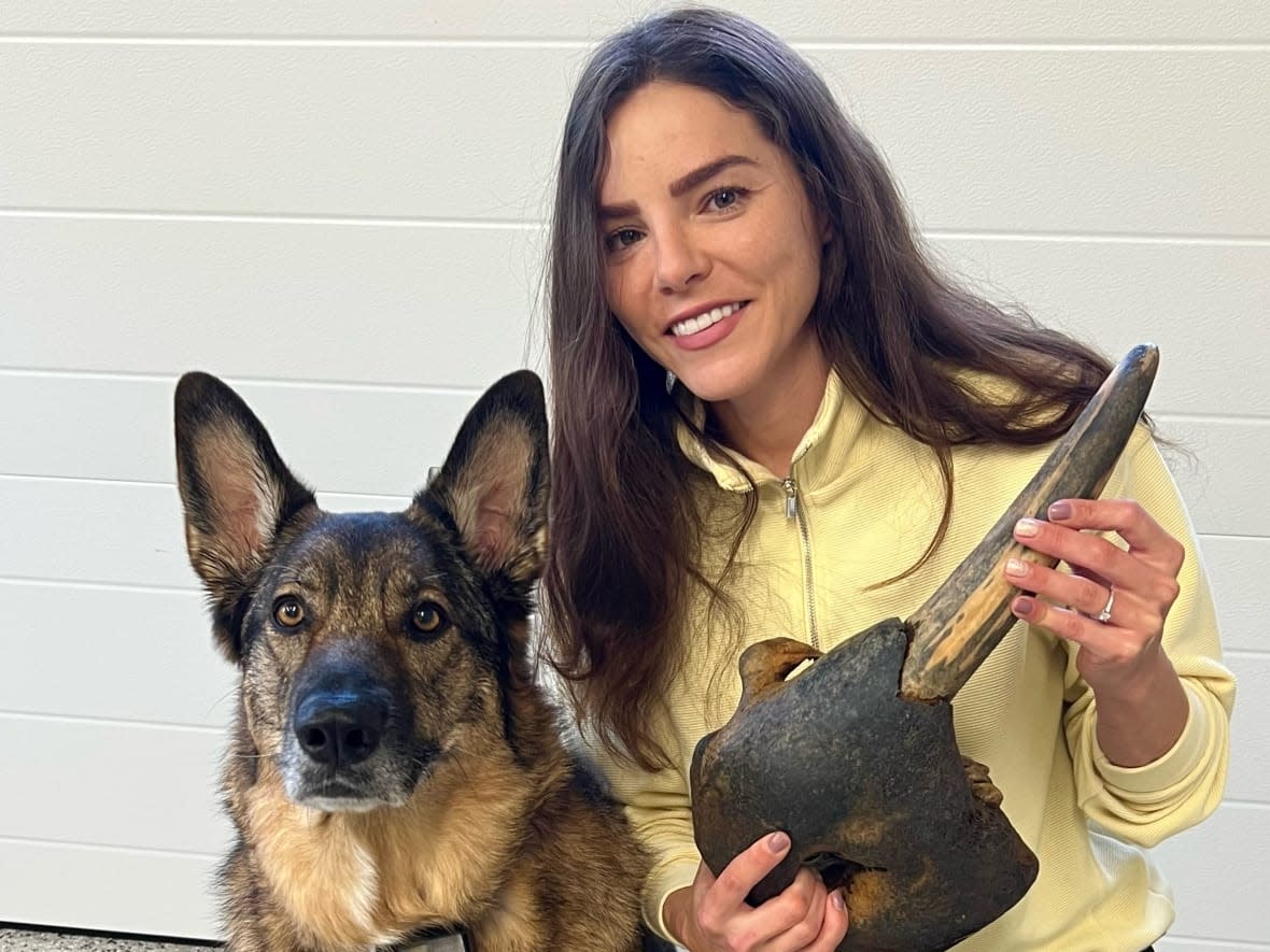 Jessie Gaudet and her dog were walking along a beach near Tignish, P.E.I. when they discovered a walrus tusk.  (Photo submitted by Jessie Gaudet  - image credit)