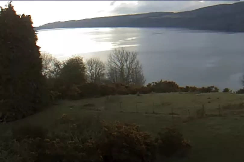 Loch Ness "disturbance"