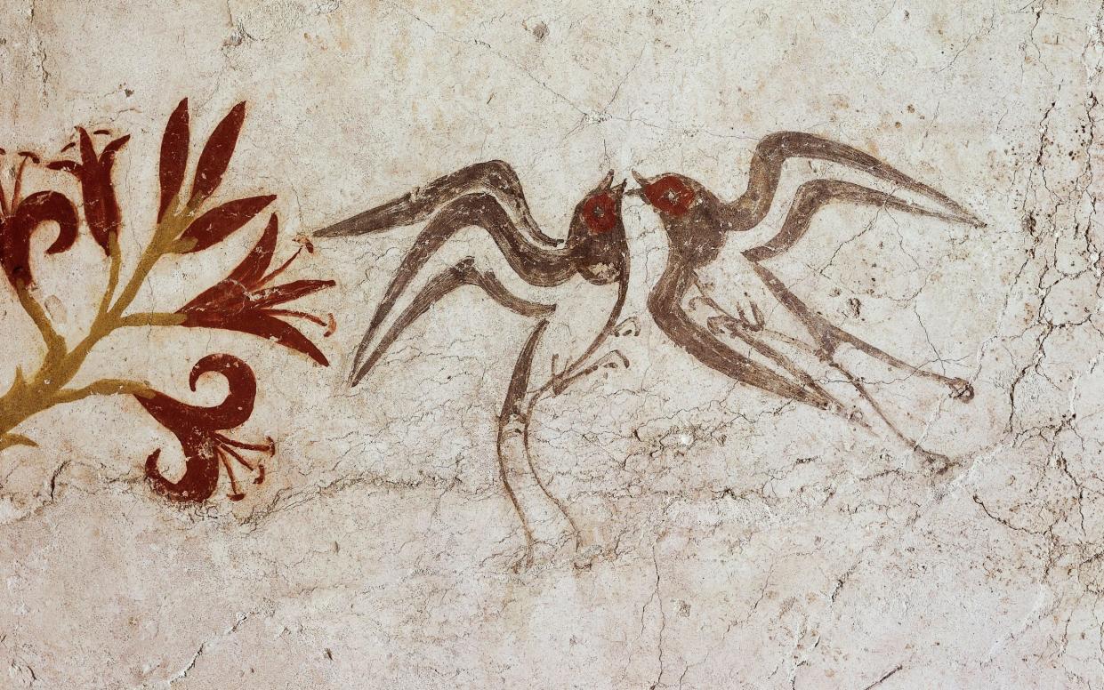 a fresco of birds from the 16th century BC, on the Greek island of Santorini