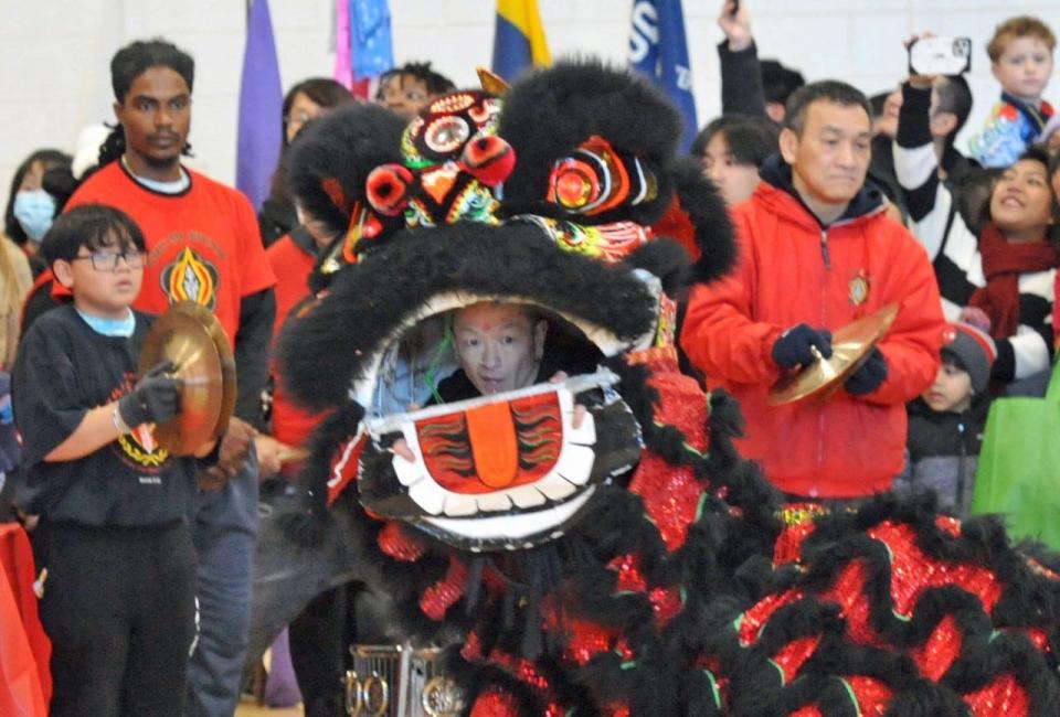 A lion dances to the beat of cymbals and drums at the Lunar New Year Festival in Quincy on Sunday, Feb. 5.