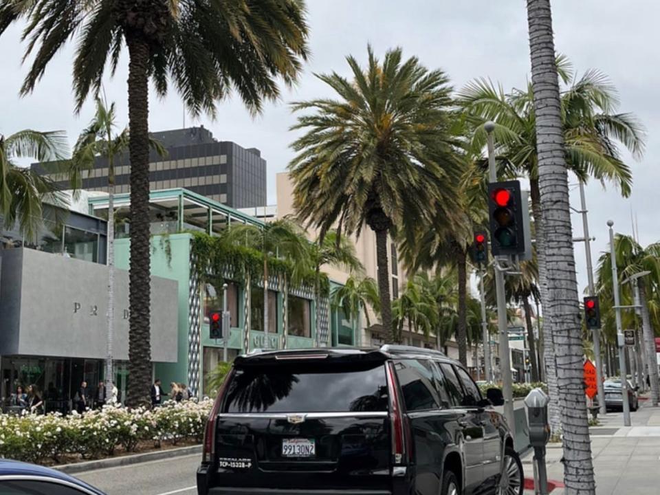 Palm trees line a Las Angeles street