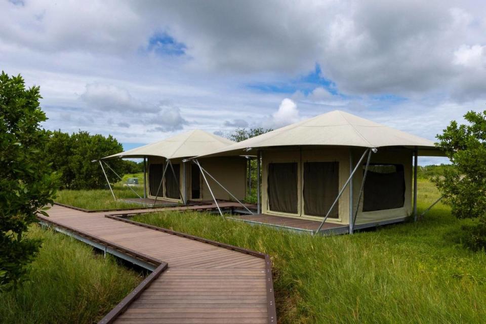 Vista de las Eco Tents dentro del área de acampar en el Parque Nacional de los Everglades, en Homestead, la Florida, el viernes 20 de octubre de 2023. D.A. Varela/dvarela@miamiherald.com