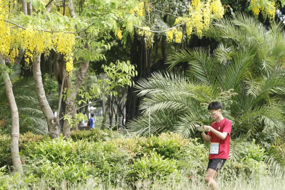 全國大專院校定向越野錦標賽在美麗的嘉義北香湖公園舉行。大會提供