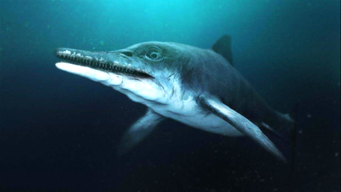 <span class="caption">How the fossilised creature may have looked in its heyday. </span> <span class="attribution"><span class="source">BBC Pictures</span></span>