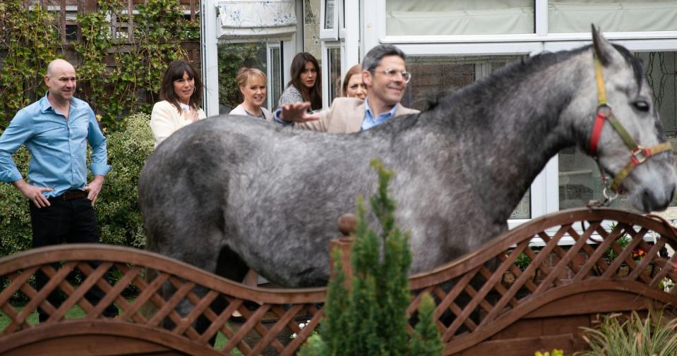 Wednesday, May 29: Sally's horse clearly can't stay in that garden for too long