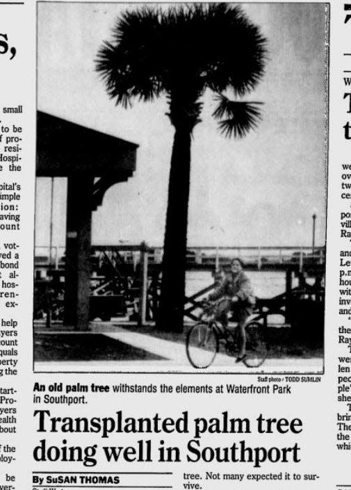 The Dec. 31, 1992 edition of the Wilmington StarNews reported efforts to save a palm tree in Southport.
