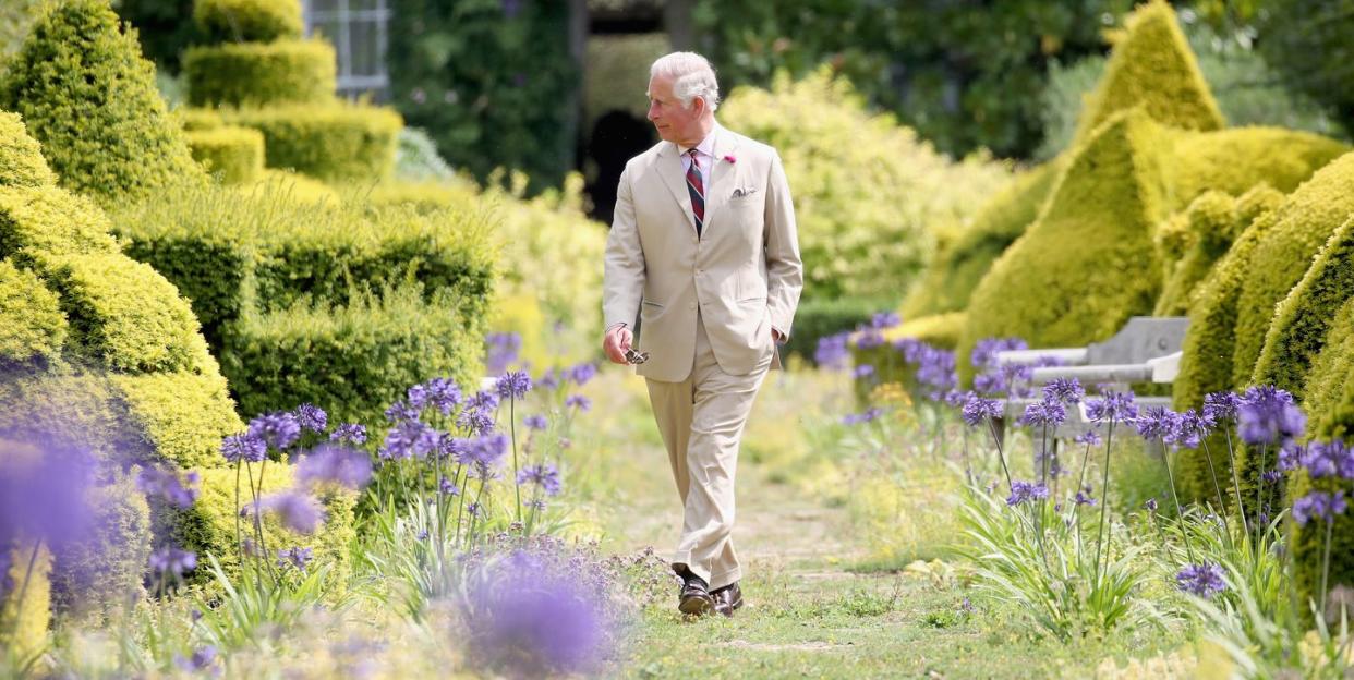 Photo credit: Chris Jackson/Getty Images for Clarence House
