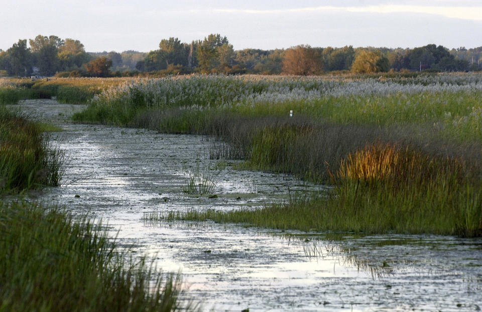 FILE - In this Oct. 5, 2003 file photo, the sun sets on St. John's Marsh in Clay Township, Mich. A bill approved by the state Legislature on Friday changed Michigan regulations that require permits to fill, drain or otherwise degrade many wetlands, although it rejected more drastic proposals that would have left hundreds of thousands of acres vulnerable to development. (AP Photo/Paul Sancya, File)