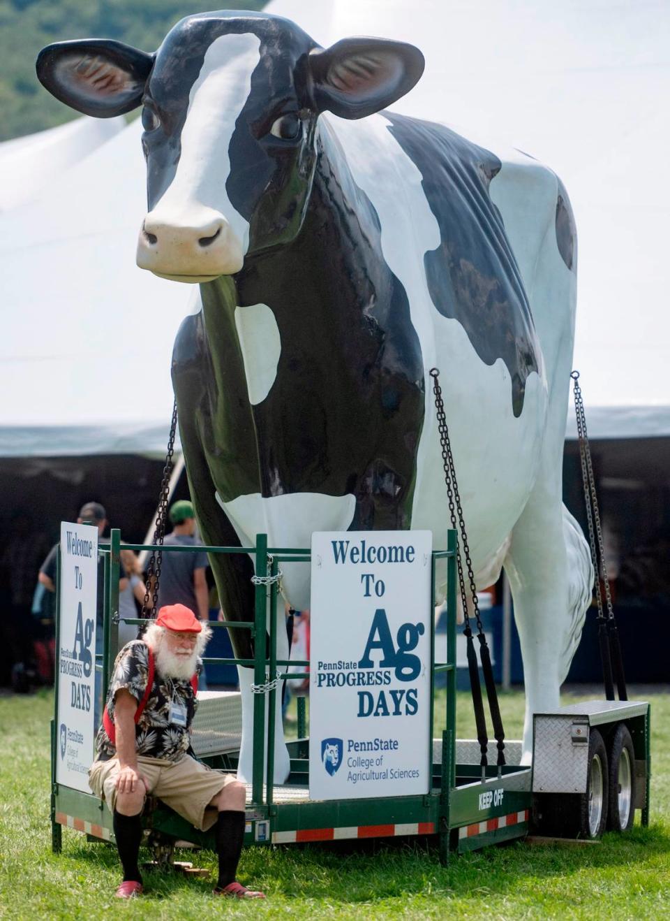 A man takes a break with a cow statue at the Penn State Ag Progress Days on Wednesday, Aug. 9, 2023.