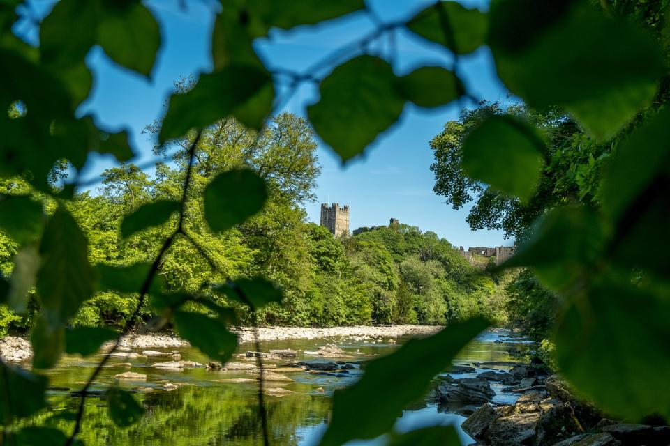 Richmond Castle seen while clambering through Billy Bank WoodPeter Watson