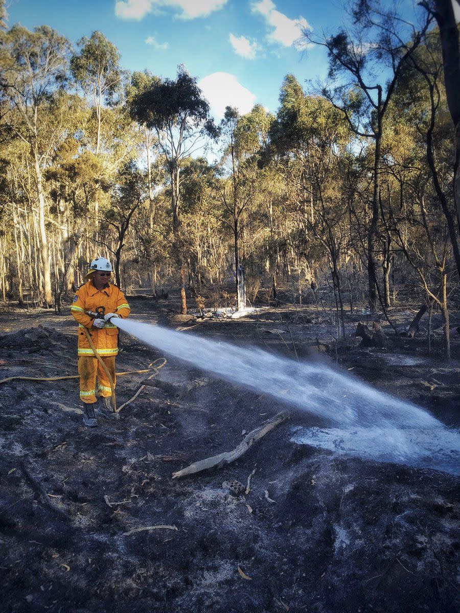 Firefights are now mopping up and blacking out areas. Photo: NSW RFS/twitter