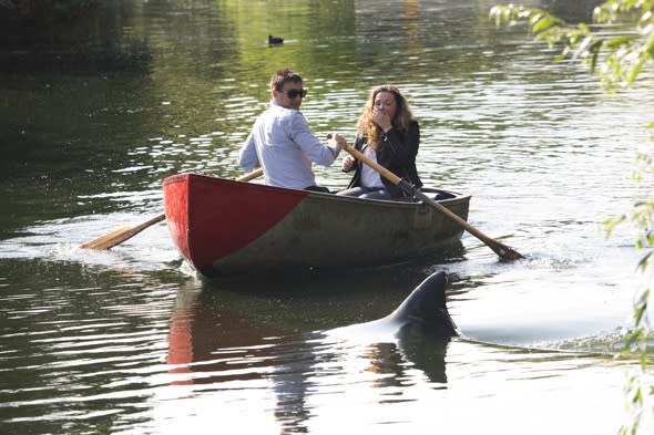 Great white shark in Finsbury Park for shark week