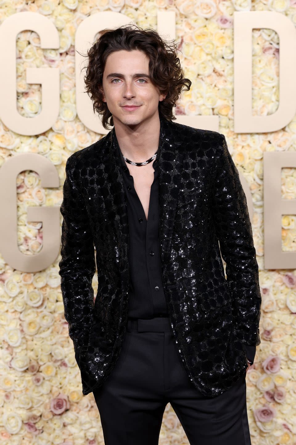 timothee chalamet