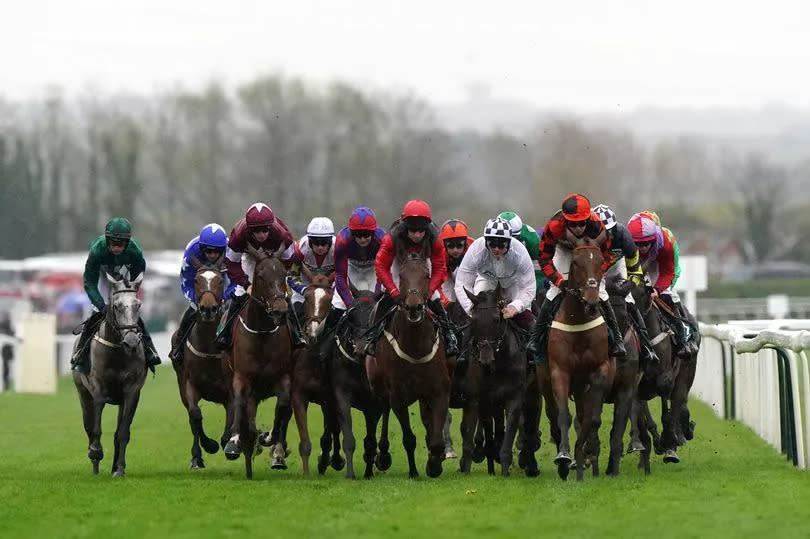 Runners and riders in the Goffs Nickel Coin Mares' Standard Open National Hunt Flat Race on day one -Credit:PA