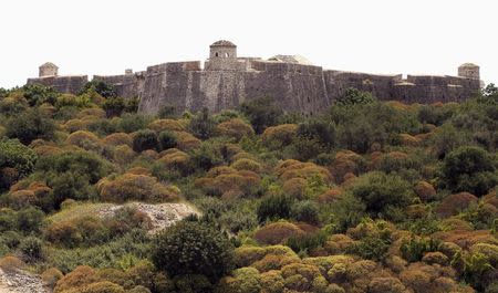 The castle of Ali Pasha Tepelena is seen in Porto Palermo, some 235 km (147 miles) south of capital Tirana May 28, 2014. REUTERS/Arben Celi/Files