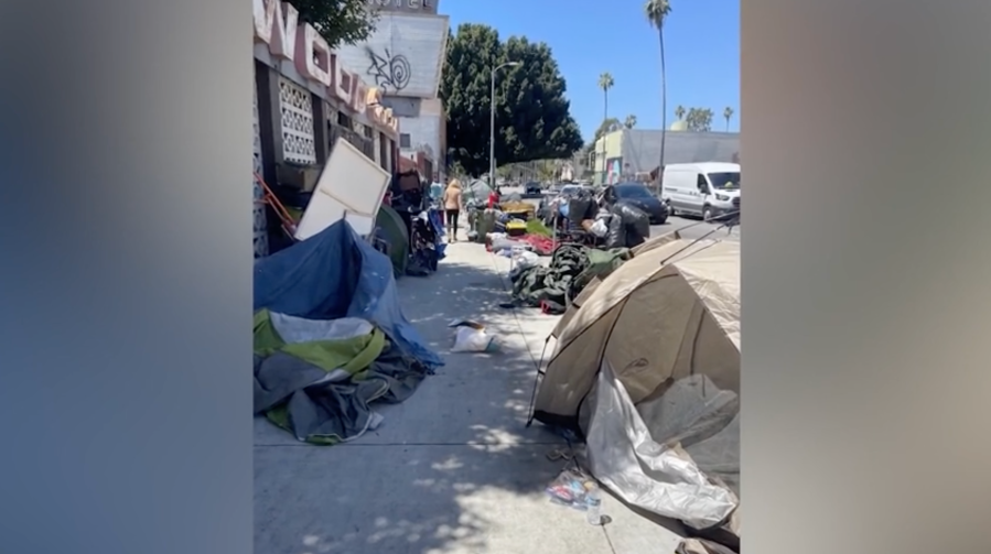 Planters to deter homeless camps in Hollywood removed