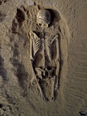 The skeleton of a man, found lying prone in the sediments of a lagoon 30km west of Lake Turkana, Kenya, at a place called Nataruk, is pictured in this undated handout photo obtained by Reuters January 20, 2016. REUTERS/Marta Mirazon Lahr/Cambridge University/Handout via Reuters