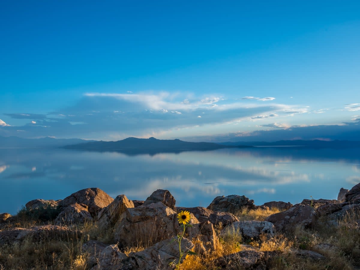 Antelope Island is the largest of the Great Salt Lake’s islands (Getty Images/iStockphoto)