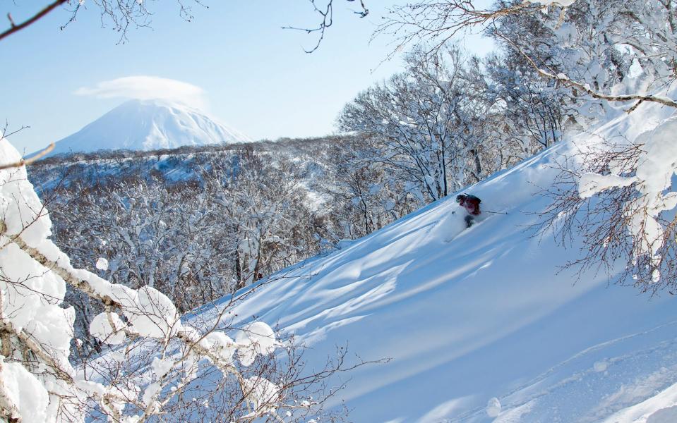 Experience Japan's legendary powder in January 2020