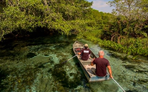 The BBC crew paddle through a maze of creeks in southern Brazil - Credit: Cristian Dimitrius/BBC