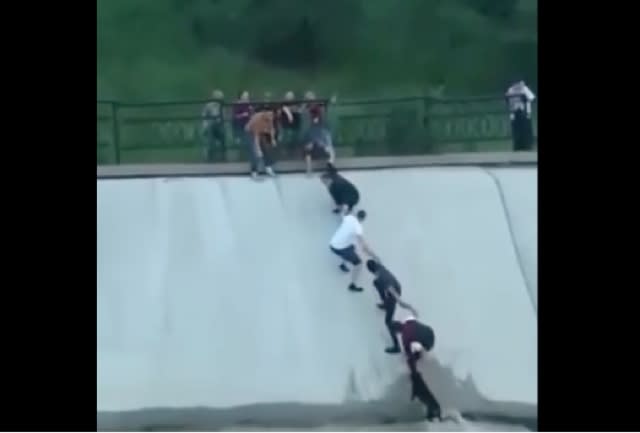 Friends form human chain to rescue dog stuck in reservoir