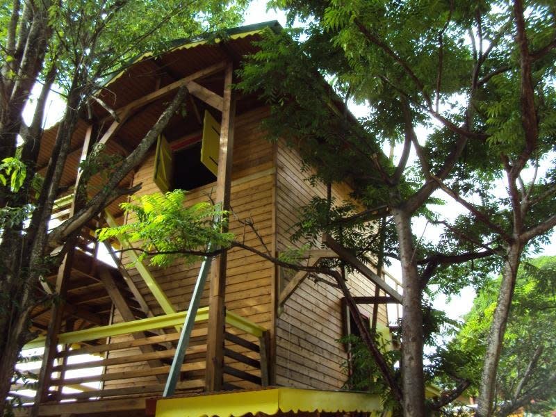 This stunning treehouse is built on three levels and showcases jaw-dropping views of tropical vegetation.&nbsp;<a href="https://www.tripadvisor.com/VacationRentalReview-g1214312-d7244634-Talipo-Pointe_Noire_Basse_Terre_Island_Guadeloupe.html" target="_blank">Check it out</a>.&nbsp;