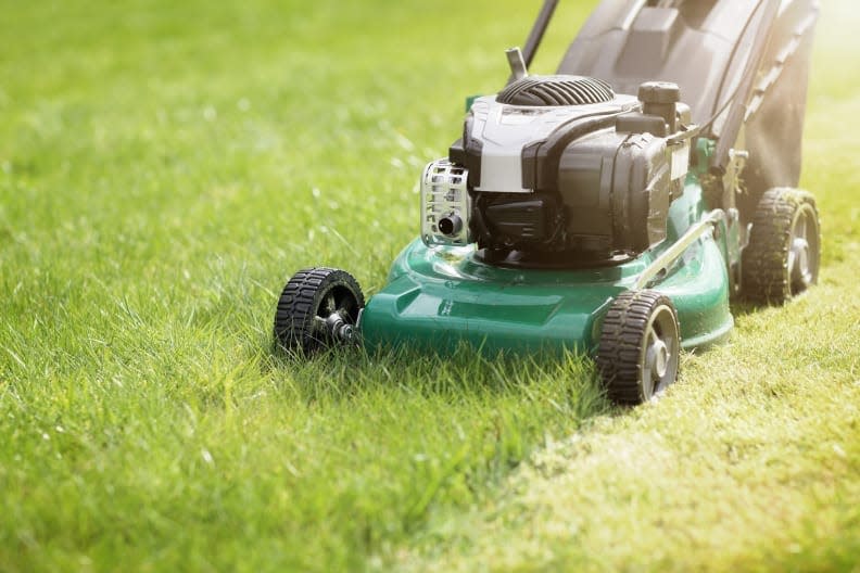 Save big on garden gear and lawn care tools.