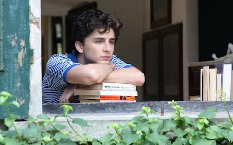 Young talent: Timothée Chalamet in Call Me By Your Name - Credit: Sony Pictures