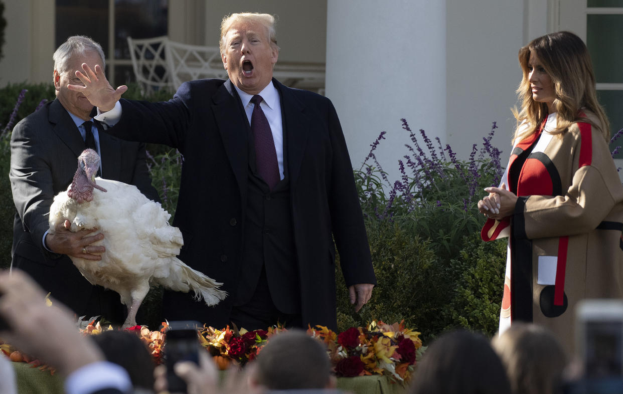 President Trump pardons the turkey “Peas” during the annual ceremony at the White House on Nov. 20, 2018, as first lady Melania Trump looks on. (Photo: Jim Watson/AFP/Getty Images)