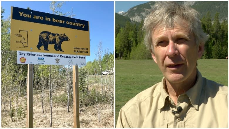 Southern Alberta bear boom prompts warning to fence off bee hives, remove fruit trees