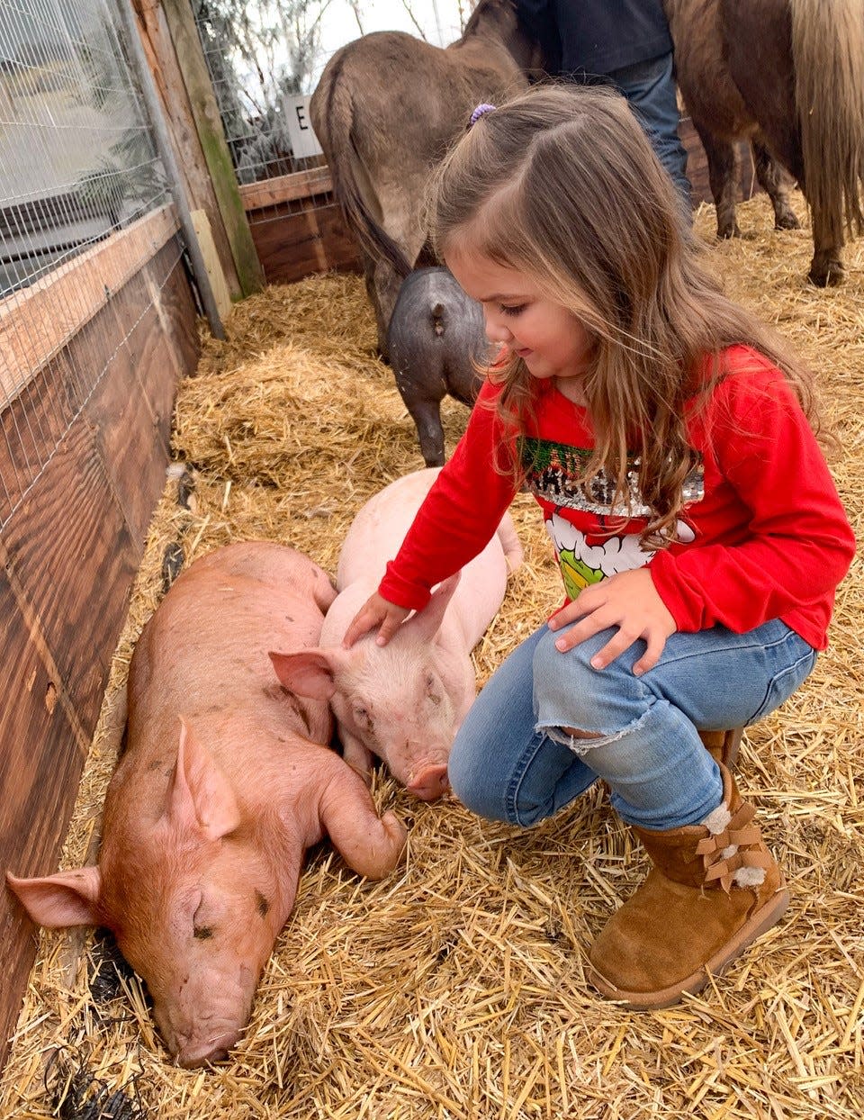 Three-year-old Wren Dabkowski of Clyde gently pets the pigs inside the new open-air petting zoo at Doebel’s Flowers on Saturday.