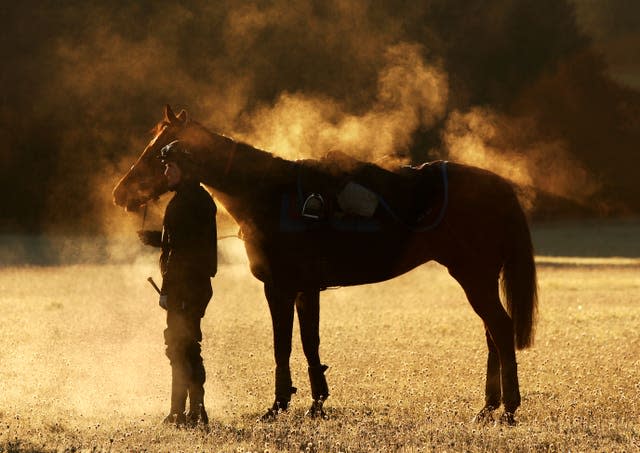 Horse Racing – United Racing Media Day – Oaksey House