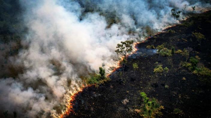 AFP via Getty Images