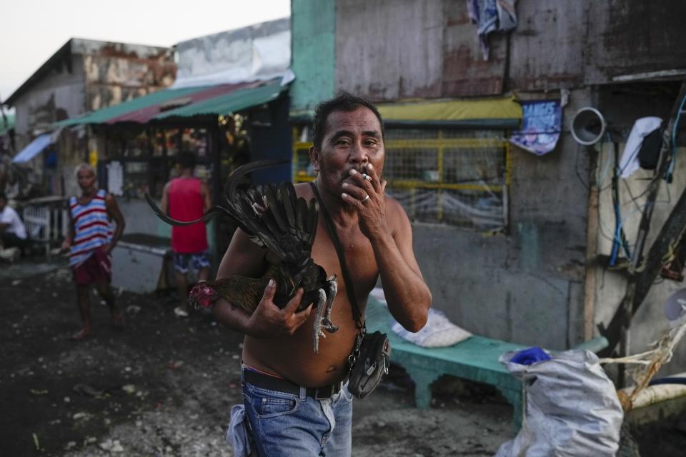 A man smokes while holding his rooster at the coastal village of Santa Clara near a liquified natural gas power plant in Batangas province, Philippines on Tuesday, Aug. 8, 2023. The Philippines is seeing one of the world's biggest buildouts of natural gas infrastructure. (AP Photo/Aaron Favila)