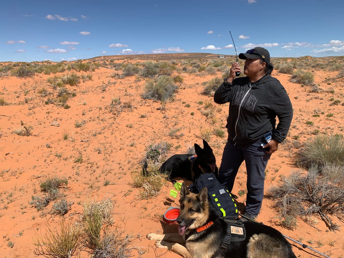 Bernadine Beyale, founder of Four Corners K9 Search and Rescue, and her two dogs, Trigger and Gunny, are seen during a search for a missing person on the Navajo Nation on April 23rd, 2022. (Justin Higginbottom)